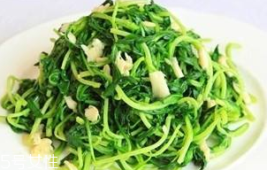 馬蘭頭能給孕婦吃嗎？孕婦能吃馬蘭頭嗎？