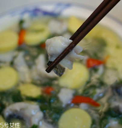 馬蘭頭可以煮魚(yú)湯嗎？馬蘭頭怎么煮魚(yú)湯