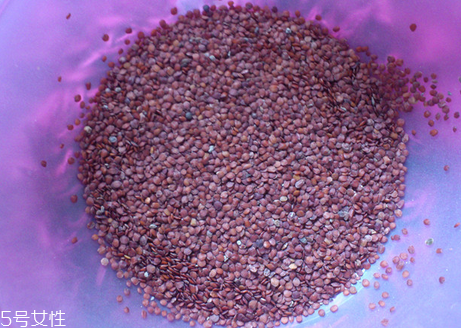 海藻面膜的功效與作用 用海藻面膜有什么好處？