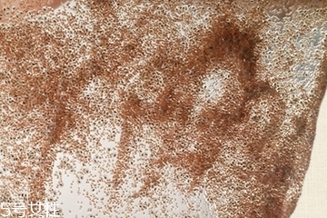 海藻面膜會(huì)發(fā)芽嗎？真的海藻面膜會(huì)發(fā)芽嗎？