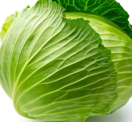 牛心菜能多吃嗎？牛心菜吃多了會(huì)怎樣？