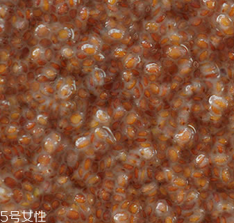 海藻面膜能加蜂蜜嗎？蜂蜜和海藻做面膜好嗎？