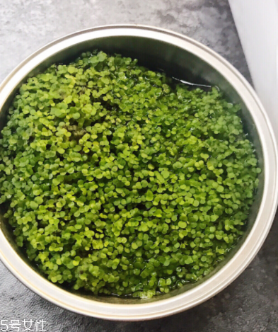 海藻面膜為什么會出膠？海藻面膜的膠是什么？