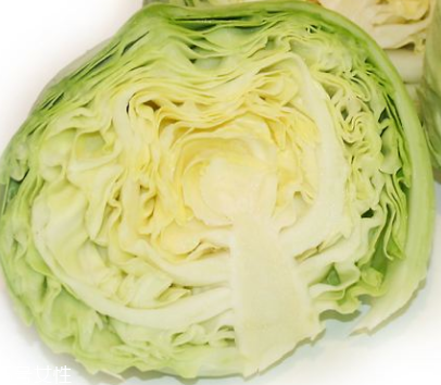 牛心菜是酸性還是堿性？牛心菜是酸性的嗎？