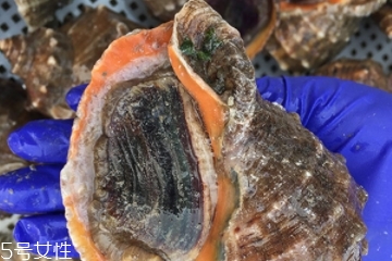 海螺開水還是冷水下鍋？海螺冷水還是熱水煮？