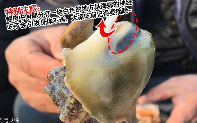海螺會(huì)中毒嗎？吃海螺中毒多久會(huì)緩解？