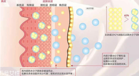 頑固痘痘怎么消除？油皮為什么反復(fù)爆痘？