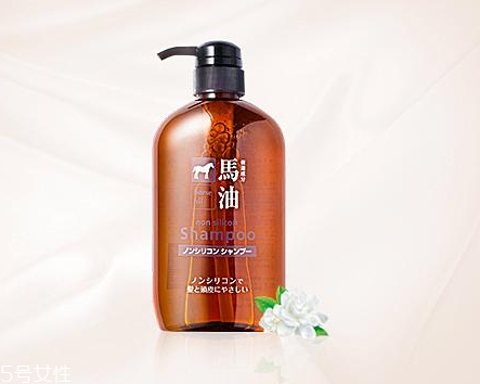 馬油洗發(fā)水是哪里產(chǎn)的？馬油洗發(fā)水是哪國的？