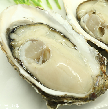 生蠔是蒸還是煮？生蠔蒸好吃還是煮好吃？