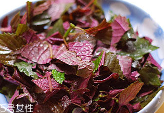 紫蘇葉能治皮膚過敏嗎？