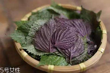 紫蘇葉吃了會(huì)上火嗎？紫蘇葉吃了不會(huì)上火