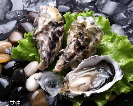 生蠔每天吃幾個(gè)最好？生蠔每日最佳食用量