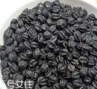 刺五加怎么吃？刺五加有什么用？