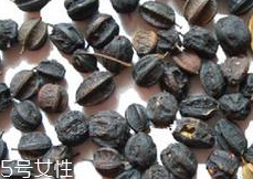 刺五加怎么吃？刺五加有什么用？