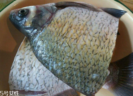 鳊魚(yú)有刺嗎 13根魚(yú)刺
