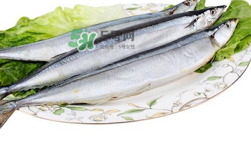 秋刀魚怎么處理？秋刀魚怎么挑選