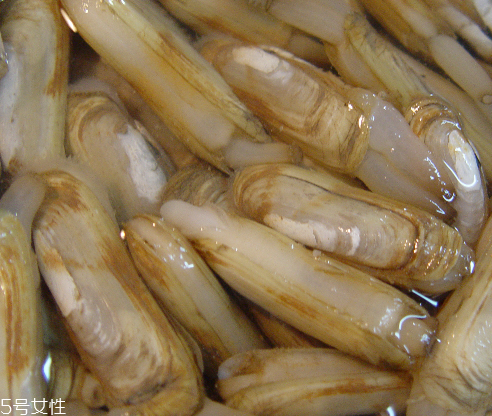蟶子為什么怕鹽 原來因?yàn)檫@個(gè)
