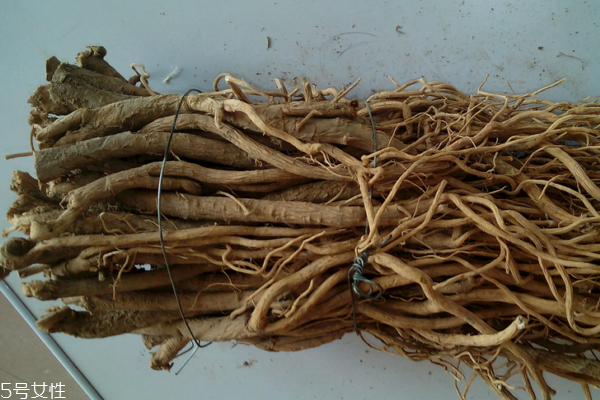 黃芪為什么會生蟲 這個是正?，F(xiàn)象