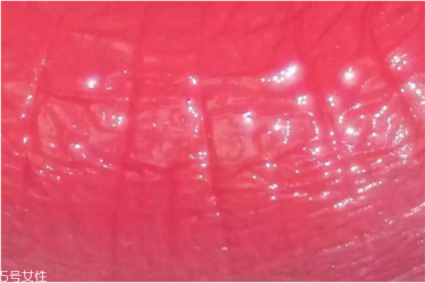 紀(jì)梵希口紅301是什么顏色 紀(jì)梵?？诩t301試色