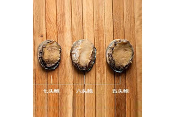 鮑魚(yú)頭數(shù)有什么好處 頭數(shù)代表質(zhì)量好壞