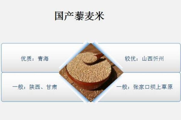 藜麥產(chǎn)地哪里最好 國內藜麥pk國外藜麥