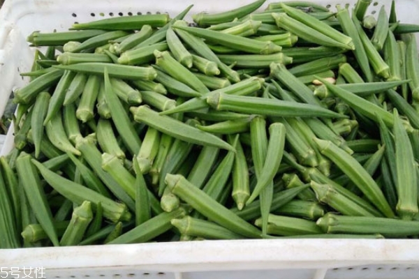 秋葵是哪里的特產(chǎn) 來自外國(guó)