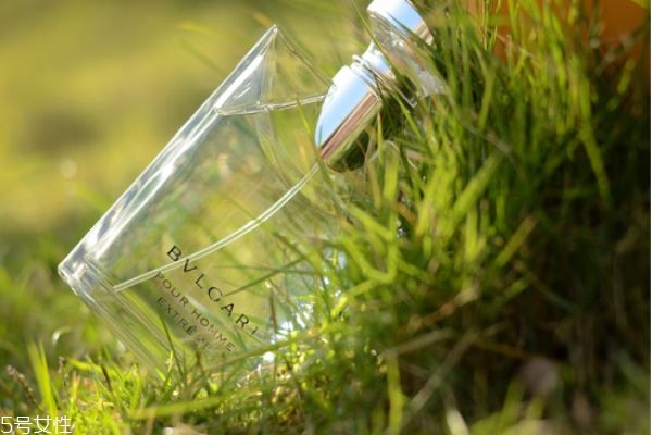 寶格麗大吉嶺茶什么味道 傳說中的男友香 寶格麗大吉嶺茶什么味道 傳說中的男友香