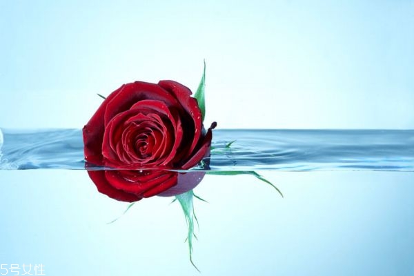 玫瑰水適合什么膚質(zhì) 使用玫瑰水的注意事項 玫瑰水適合什么膚質(zhì) 使用玫瑰水的注意事項