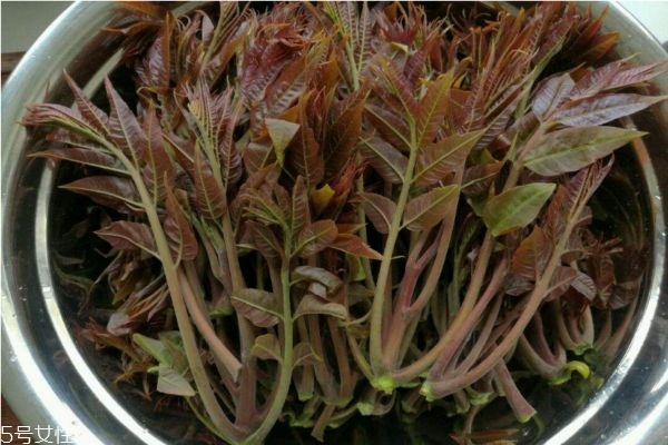 吃香椿過敏怎么辦 吃香椿過敏的癥狀 吃香椿過敏怎么辦 吃香椿過敏的癥狀