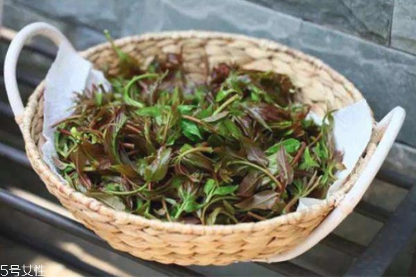 香椿是否要過(guò)水 吃香椿的好處及吃法 香椿是否要過(guò)水 吃香椿的好處及吃法