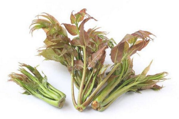 孕婦香椿能吃嗎 香椿的禁忌人群 孕婦香椿能吃嗎 香椿的禁忌人群