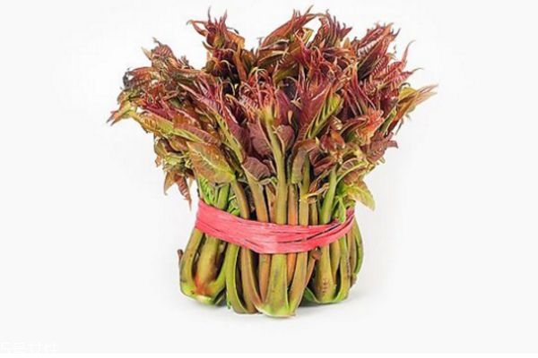 孕婦香椿能吃嗎 香椿的禁忌人群 孕婦香椿能吃嗎 香椿的禁忌人群