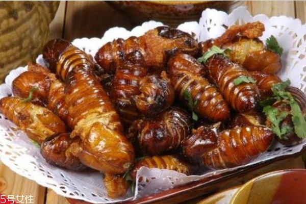 孕婦能吃蠶蛹嗎 孕婦吃蠶蛹的好處 孕婦能吃蠶蛹嗎 孕婦吃蠶蛹的好處