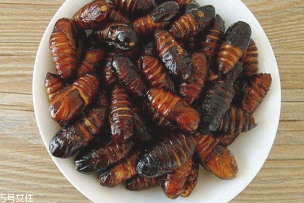 孕婦能吃蠶蛹嗎 孕婦吃蠶蛹的好處 孕婦能吃蠶蛹嗎 孕婦吃蠶蛹的好處