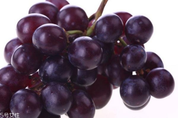 青葡萄和紫葡萄哪個好 葡萄不甜是什么原因 青葡萄和紫葡萄哪個好 葡萄不甜是什么原因