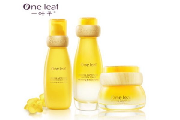 一葉子小蒼蘭多少錢 一葉子小蒼蘭使用順序 一葉子小蒼蘭多少錢 一葉子小蒼蘭使用順序