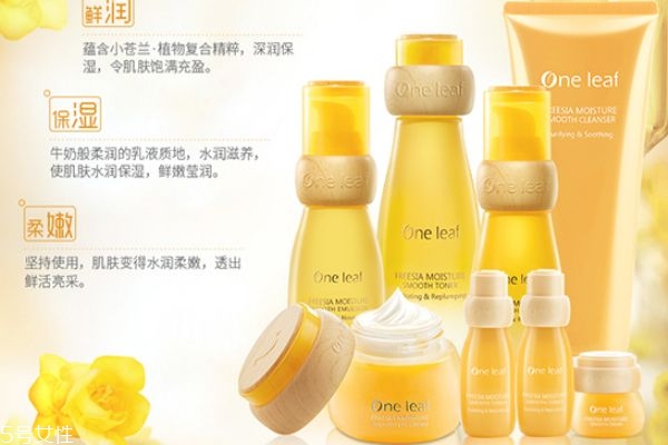 一葉子小蒼蘭多少錢 一葉子小蒼蘭使用順序 一葉子小蒼蘭多少錢 一葉子小蒼蘭使用順序