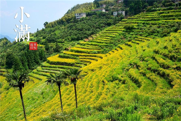 小滿之后為什么沒有大滿 原來(lái)是這樣