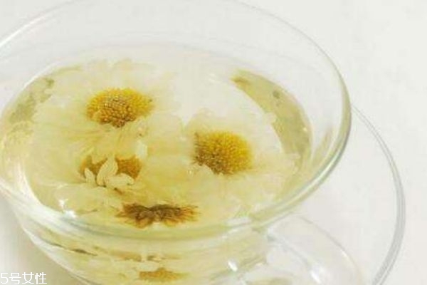 菊花有什么種類(lèi) 菊花有什么功效呢