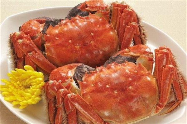 螃蟹殼可以吃嗎 螃蟹的營養(yǎng)價(jià)值