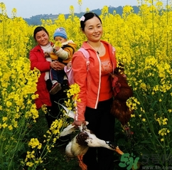 結(jié)婚后可以回娘家嗎？結(jié)婚后多久可以回娘家？