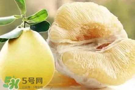 蜜柚是哪個(gè)季節(jié)的水果？蜜柚和沙田柚的區(qū)別是什么？