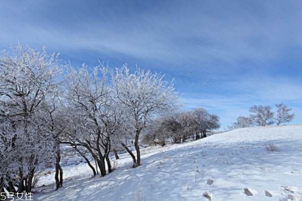 冬天怕冷是陰虛還是陽(yáng)虛 畏寒怕冷怎么辦 冬天怕冷是陰虛還是陽(yáng)虛 畏寒怕冷怎么辦