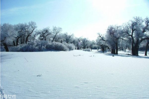 冬天怕冷是陰虛還是陽(yáng)虛 畏寒怕冷怎么辦 冬天怕冷是陰虛還是陽(yáng)虛 畏寒怕冷怎么辦