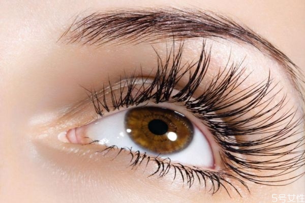 用了睫毛生長液還能涂睫毛膏嗎 早上可以用睫毛增長液嗎 用了睫毛生長液還能涂睫毛膏嗎 早上可以用睫毛增長液嗎