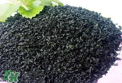 怎么辨別螺旋藻的真假？買螺旋藻怎么挑？