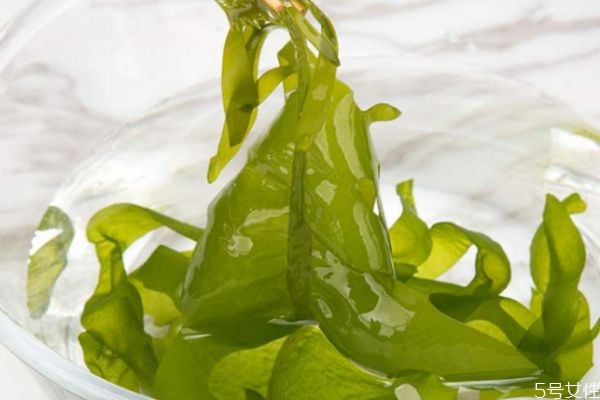 什么是海白菜呢 海白菜的營養(yǎng)價(jià)值有什么呢