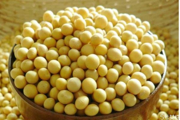 大豆有什么營養(yǎng)價(jià)值呢 吃大豆有什么好處呢
