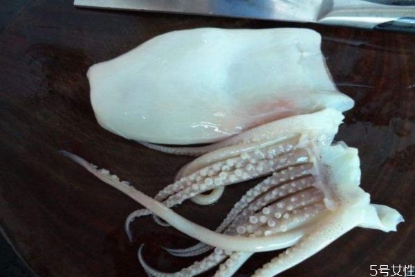 魷魚(yú)的處理方法 魷魚(yú)應(yīng)該怎么處理