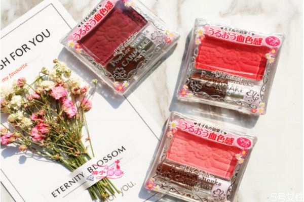 梅子色腮紅好看嗎 canmake梅子色腮紅好用嗎 梅子色腮紅好看嗎 canmake梅子色腮紅好用嗎